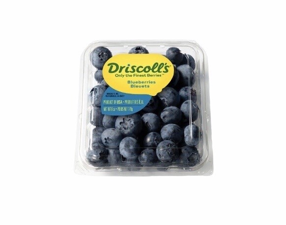 توت بري ازرق blueberry علبه