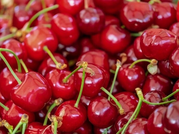 كرز علبه ٥٠٠ جرام