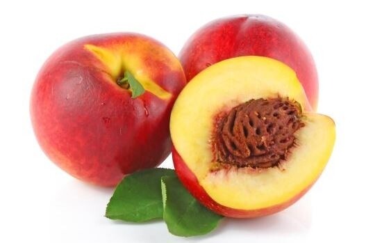 نكتارين علبه