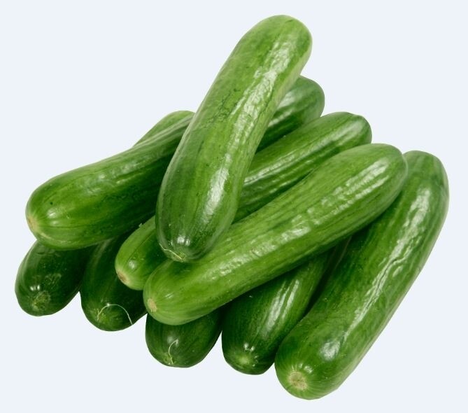 خيار 1kg