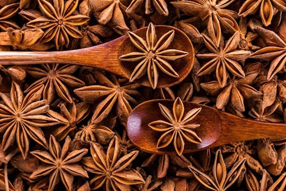 نجمه اليانسون