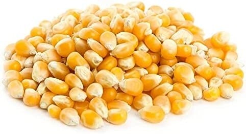 ذرة فشار ٥٠٠ جرام