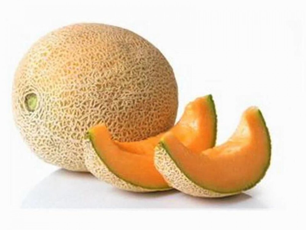 شمام اردني كيلو ٦ درهم 