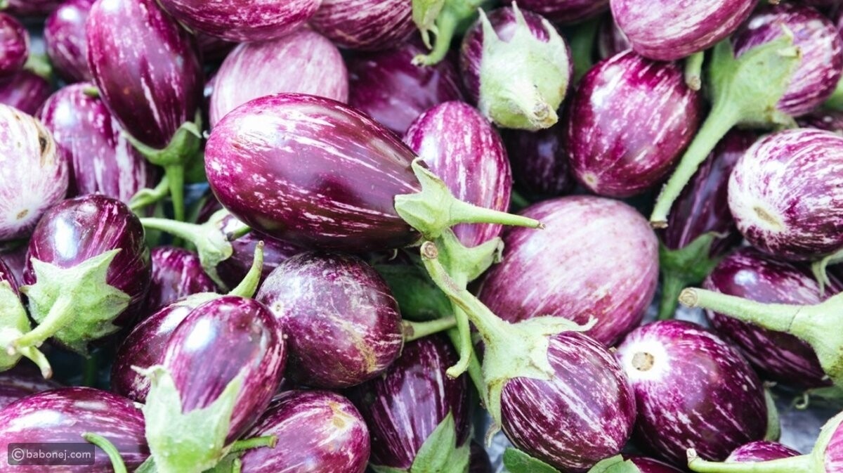 بذنجان حجراتي ( للمحشي والمكدوس) للكيلو