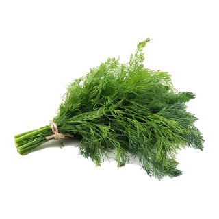 حزمة شبت