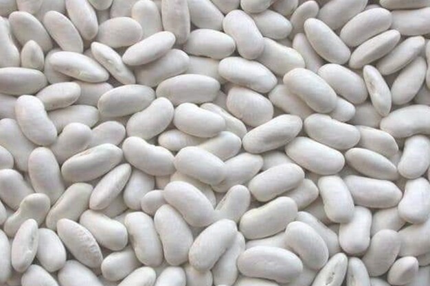 فاصوليا بيضاء ٥٠٠ جرام 