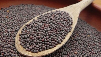 بذور الخردل ١٥٠ جرام