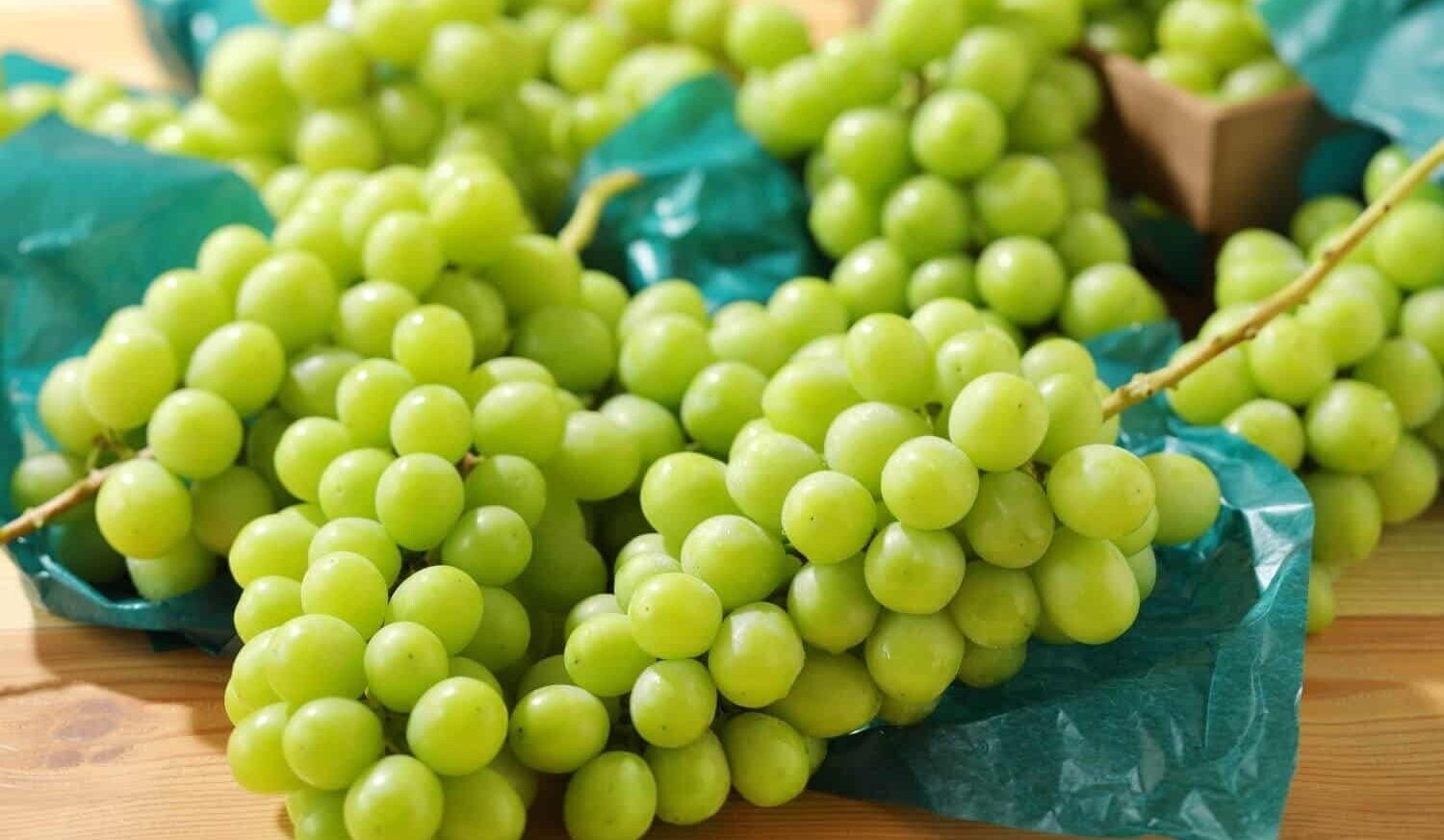 عنب أخضر ايراني علبه ٨٥٠ غرام