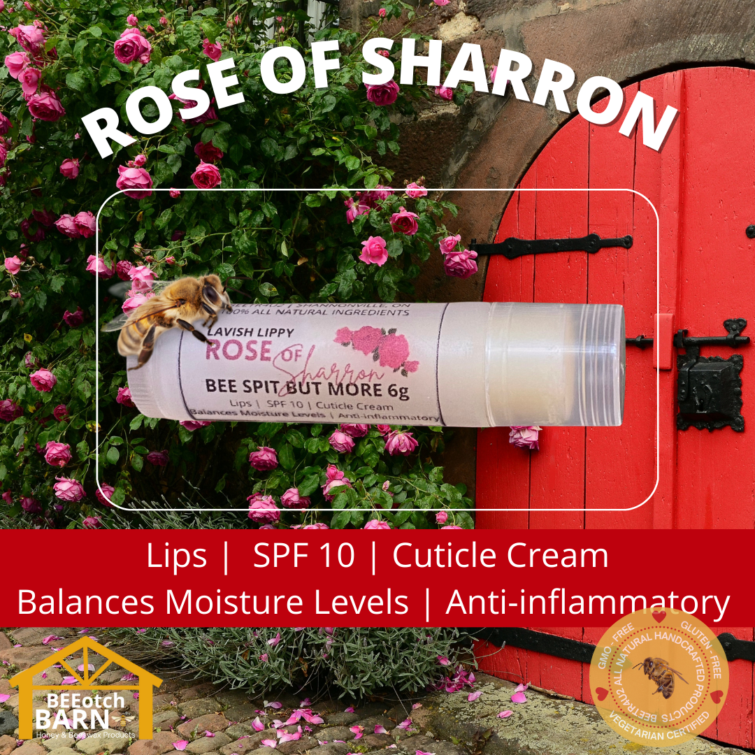 Luxury Lippy - Rose of Sharron