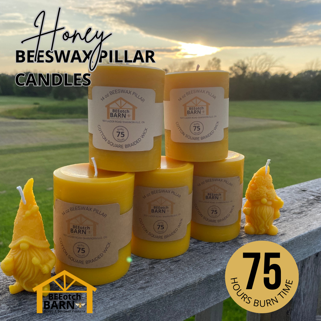 Beeswax Candle - Pillar (Natural Honey Scent)