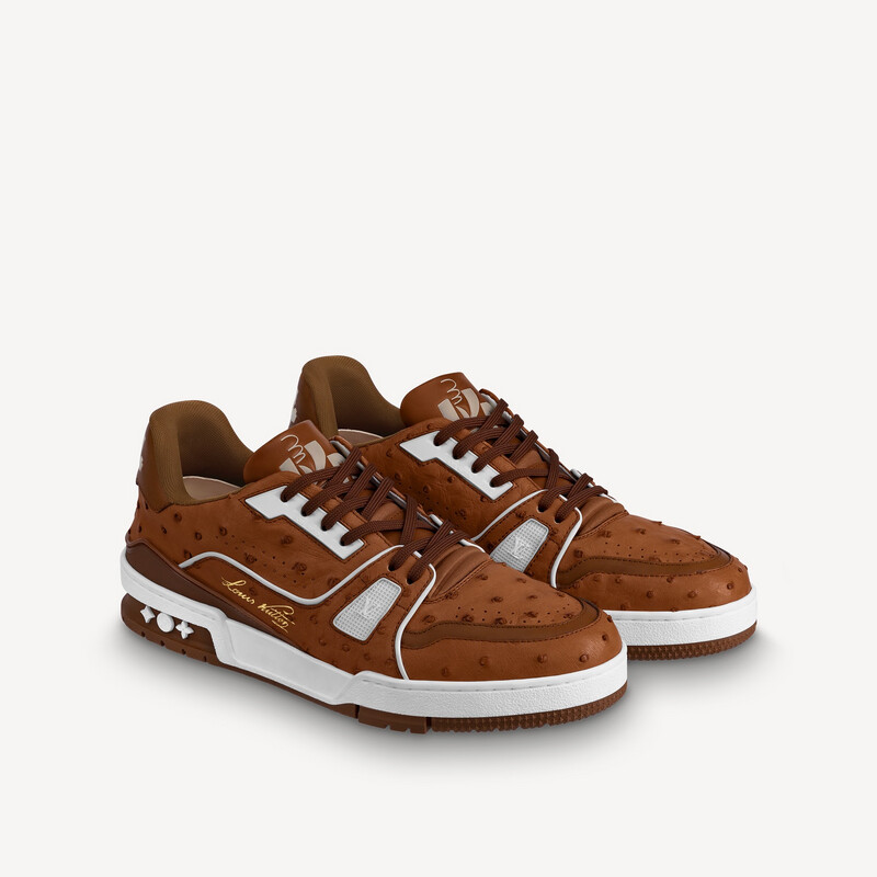 Louis Vuitton LV Trainer Sneaker in Brown Louis Vuitton LV Trainer Sneaker in Brown