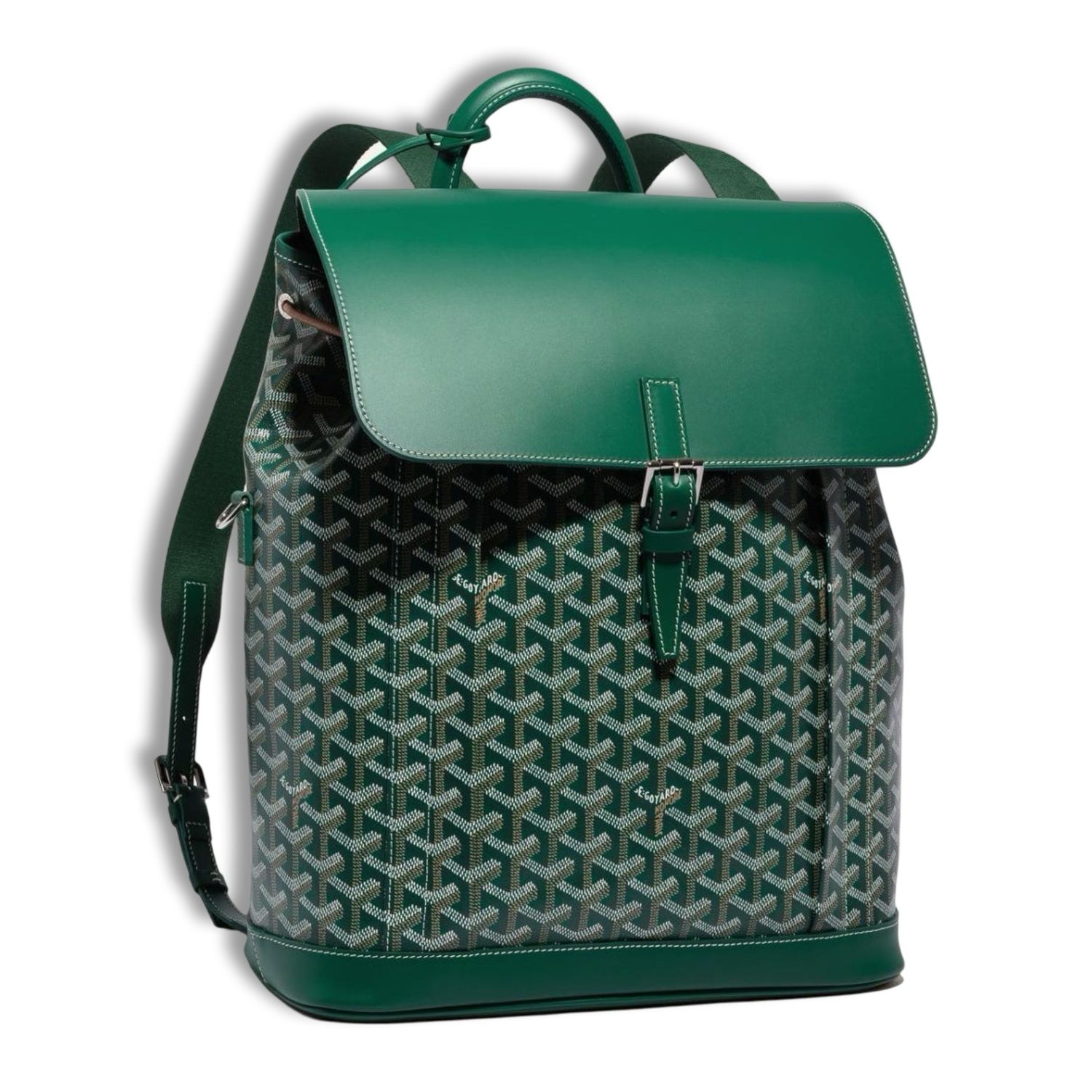 Goyard Alpin MM Backpack Green 