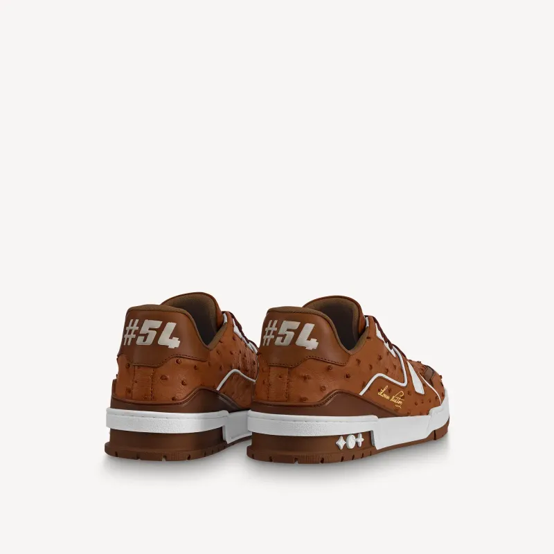 Louis Vuitton LV Trainer Sneaker in Brown