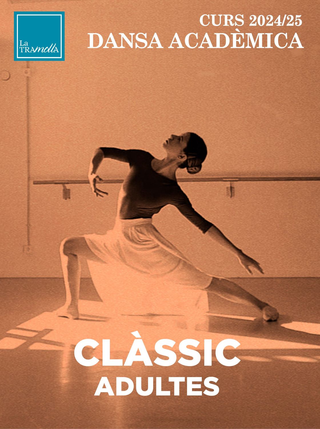DANSA CLÀSSICA PER A ADULTES
