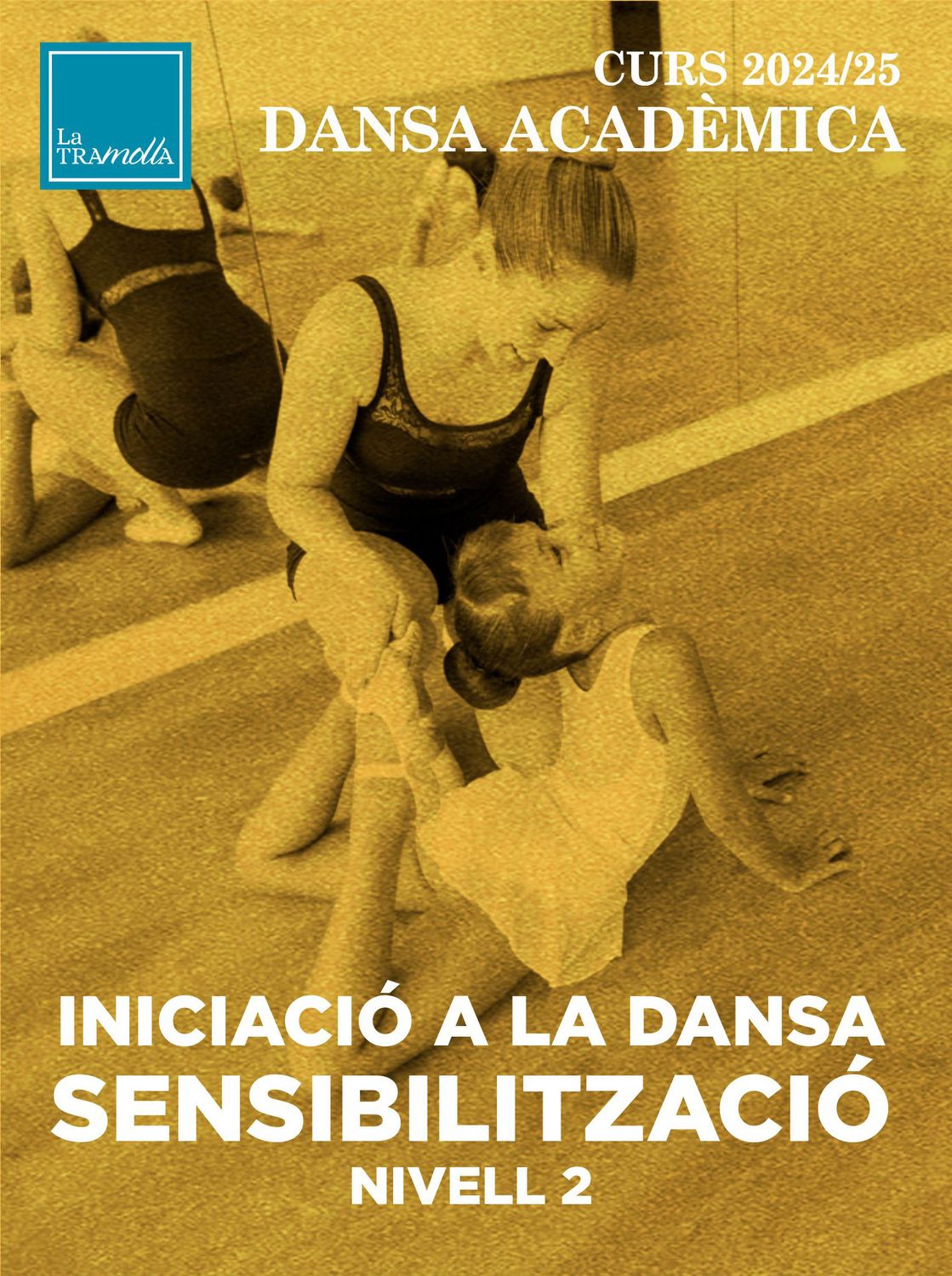 INICIACIÓ A LA DANSA - SENSIBILITZACIÓ NIVELL 2