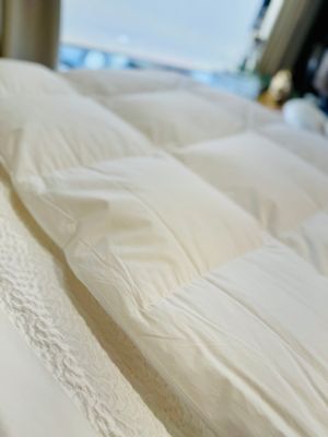 Masterpiece Ultra Premium Comforter- All Year Weight 800 Fill, Siberian White Goose Down