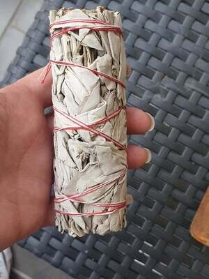Sauge blanche amerindienne