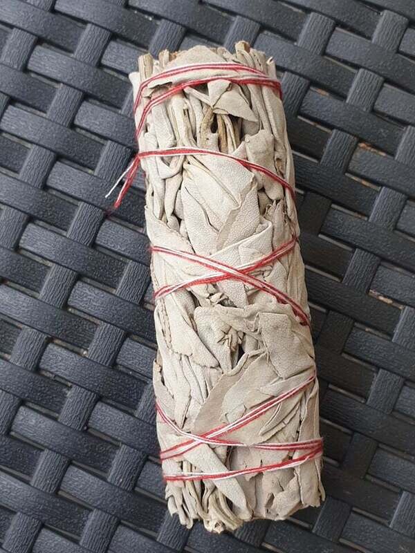 Sauge blanche amerindienne