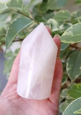 Pointe Quartz Rose n°3