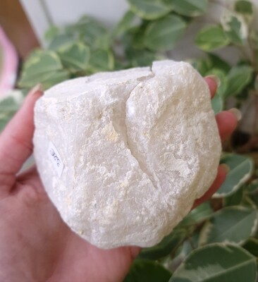 Geode Entière Cristal de Roche n°2