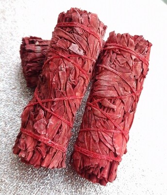 Sauge Sang de Dragon 