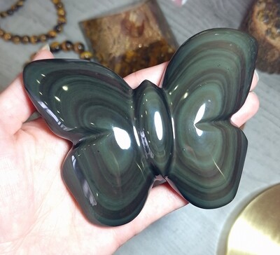 Forme Libre Papillon Obsidienne Oeil Céleste n°1