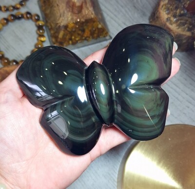 Forme Libre Papillon Obsidienne Oeil Céleste n°2