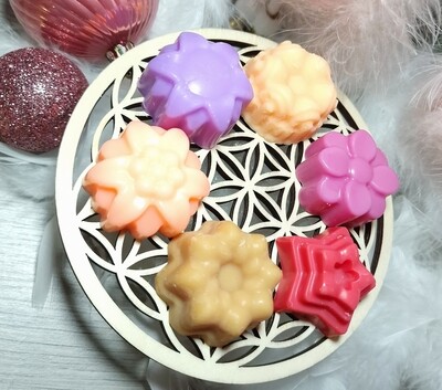 1 .lot de 6 fondants 20 gr dont 1 gratuit 72h de parfum