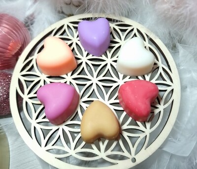 1 .lot de 6 fondants 10 gr dont 1 gratuit 36h de parfum