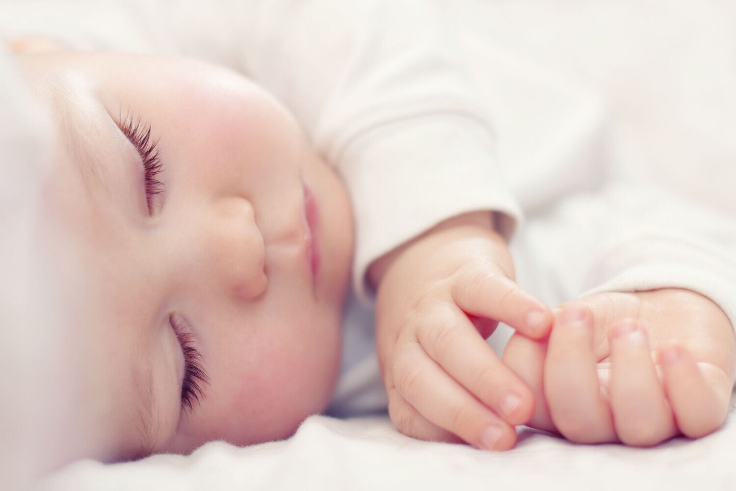Musty (inspiré de mustela)