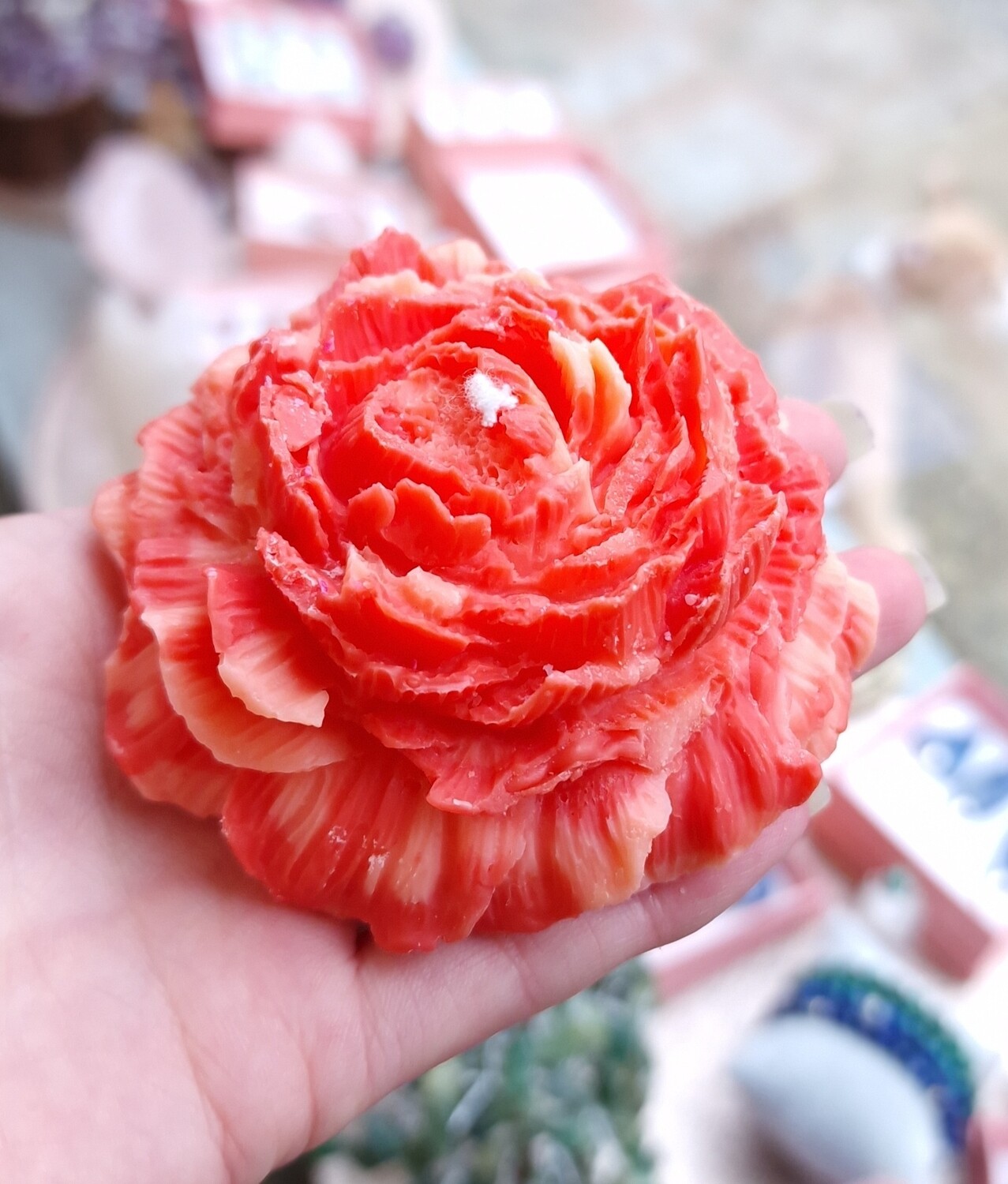 Pivoine Tropical