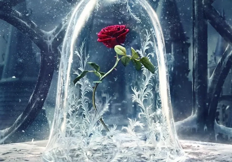 Rose eternelle