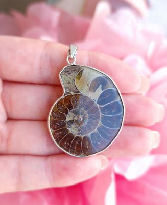 Ammonite Opalisée n°2