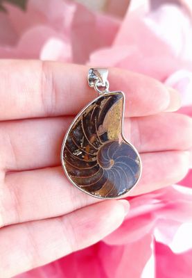 Ammonite Opalisée n°3