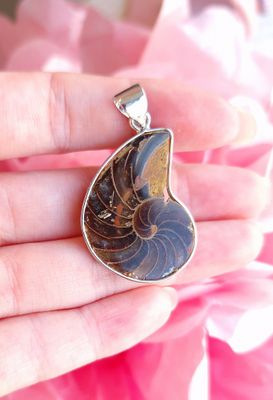 Ammonite Opalisée n°3
