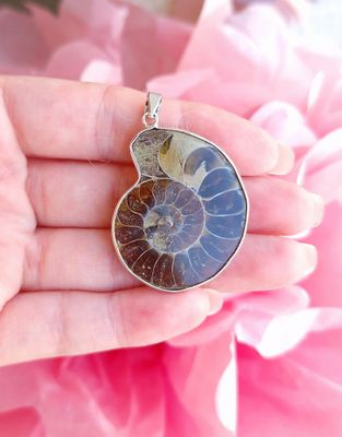 Ammonite Opalisée n°2