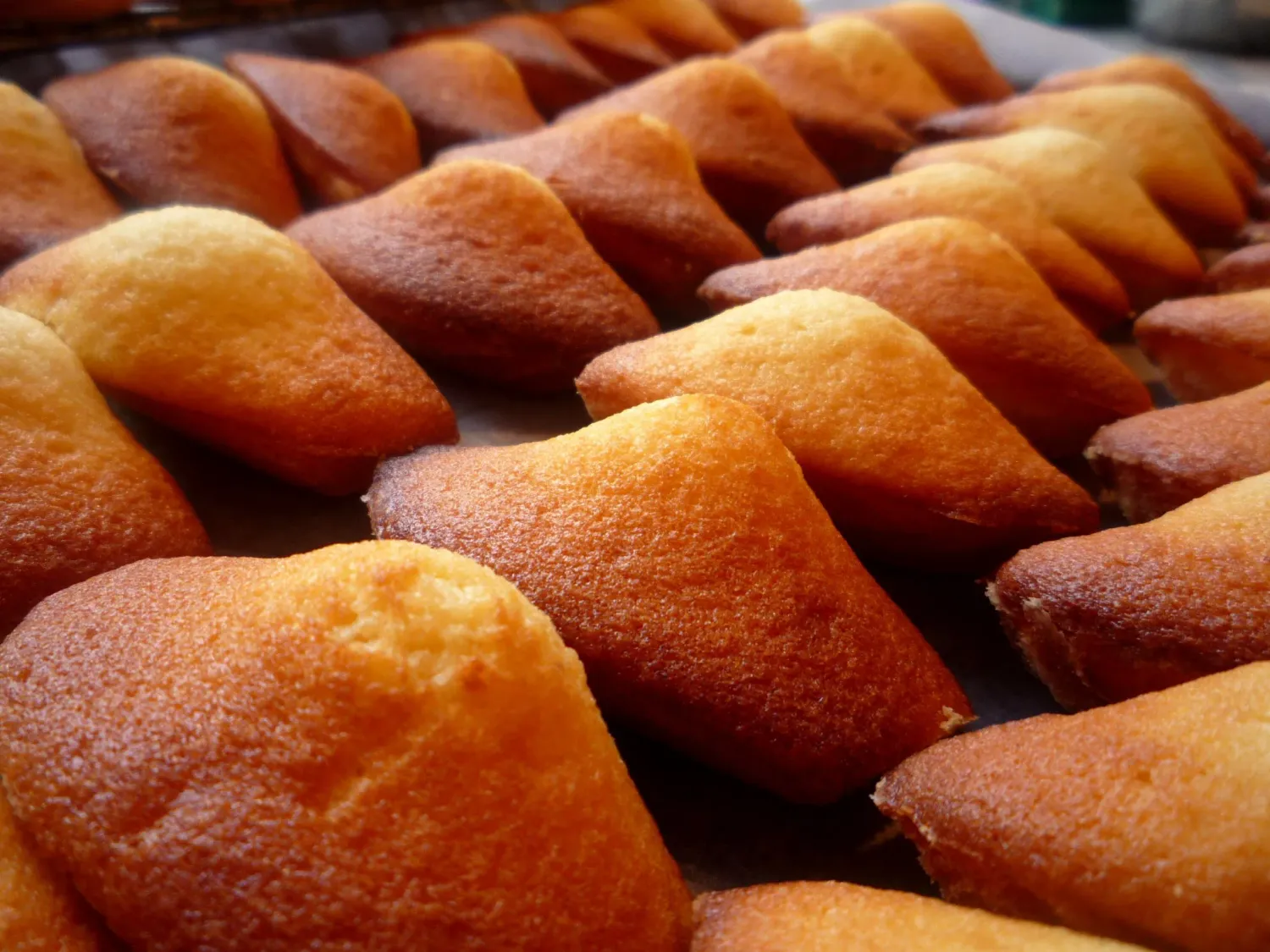 madeleine