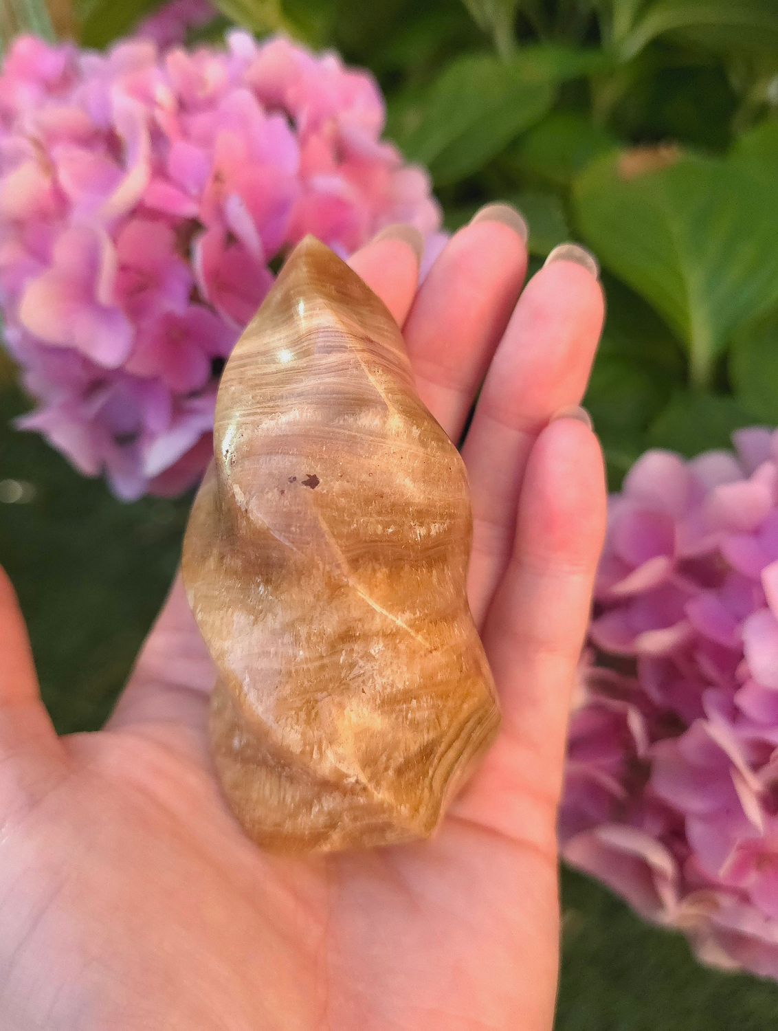 Forme Flamme Aragonite n°4