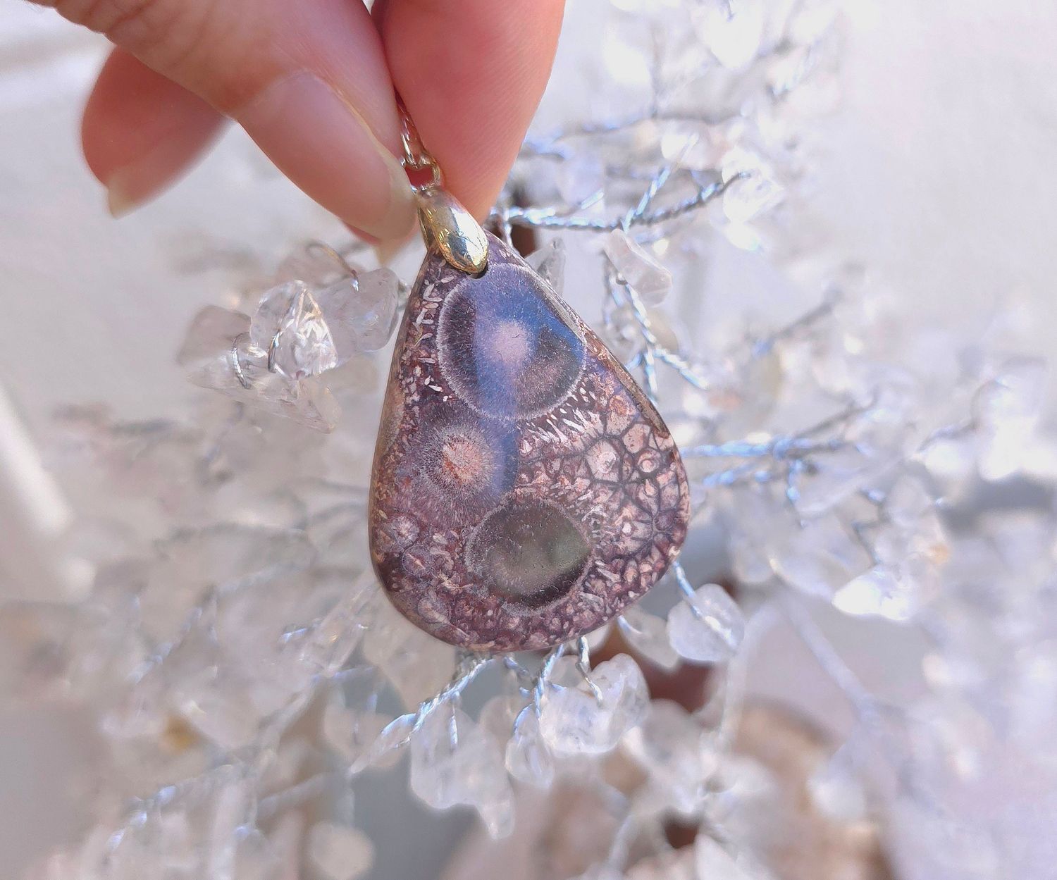 Rhyolite Oeil D&#39;oiseau n°1