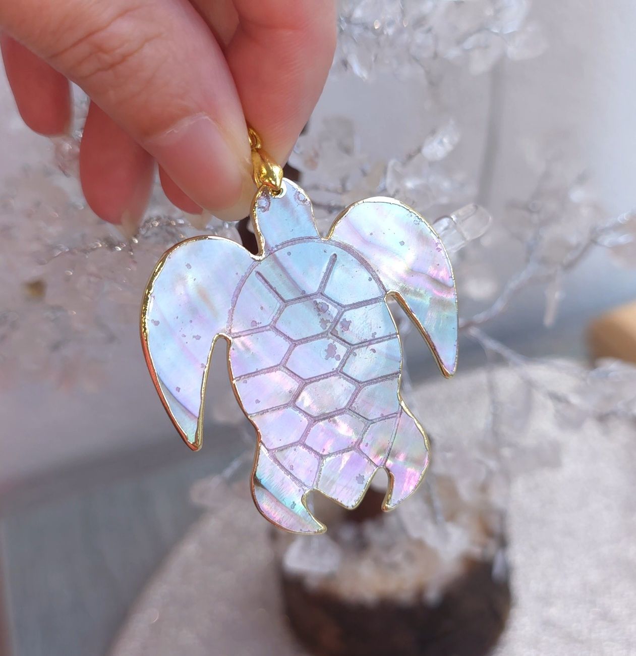 Nacre Tortue 