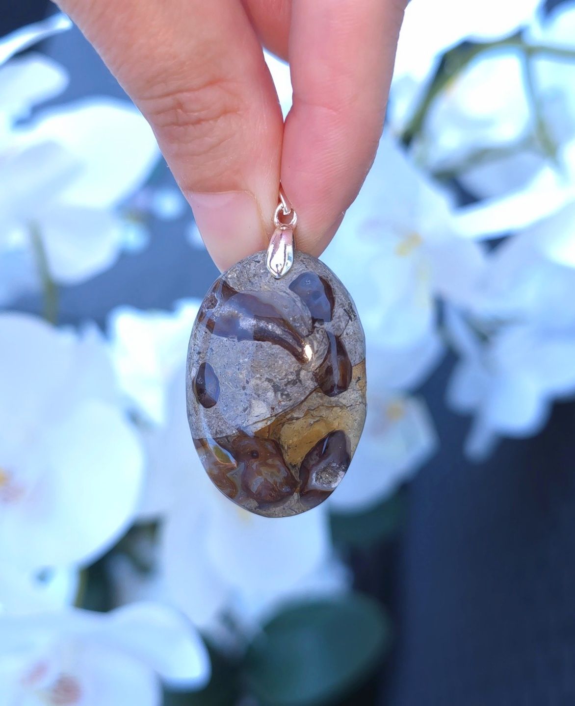 Agate Fossile Turitelle