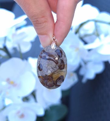 Agate Fossile Turitelle