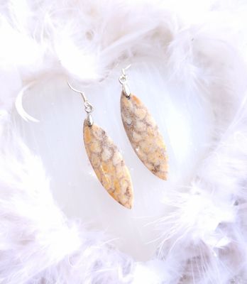 Boucle Corail Fossile n°2