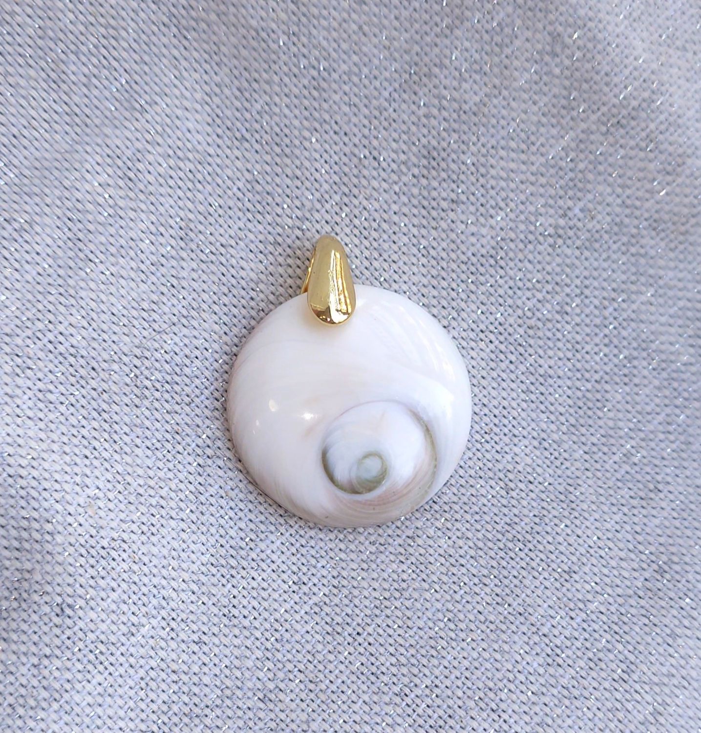 Oeil de Sainte Lucie