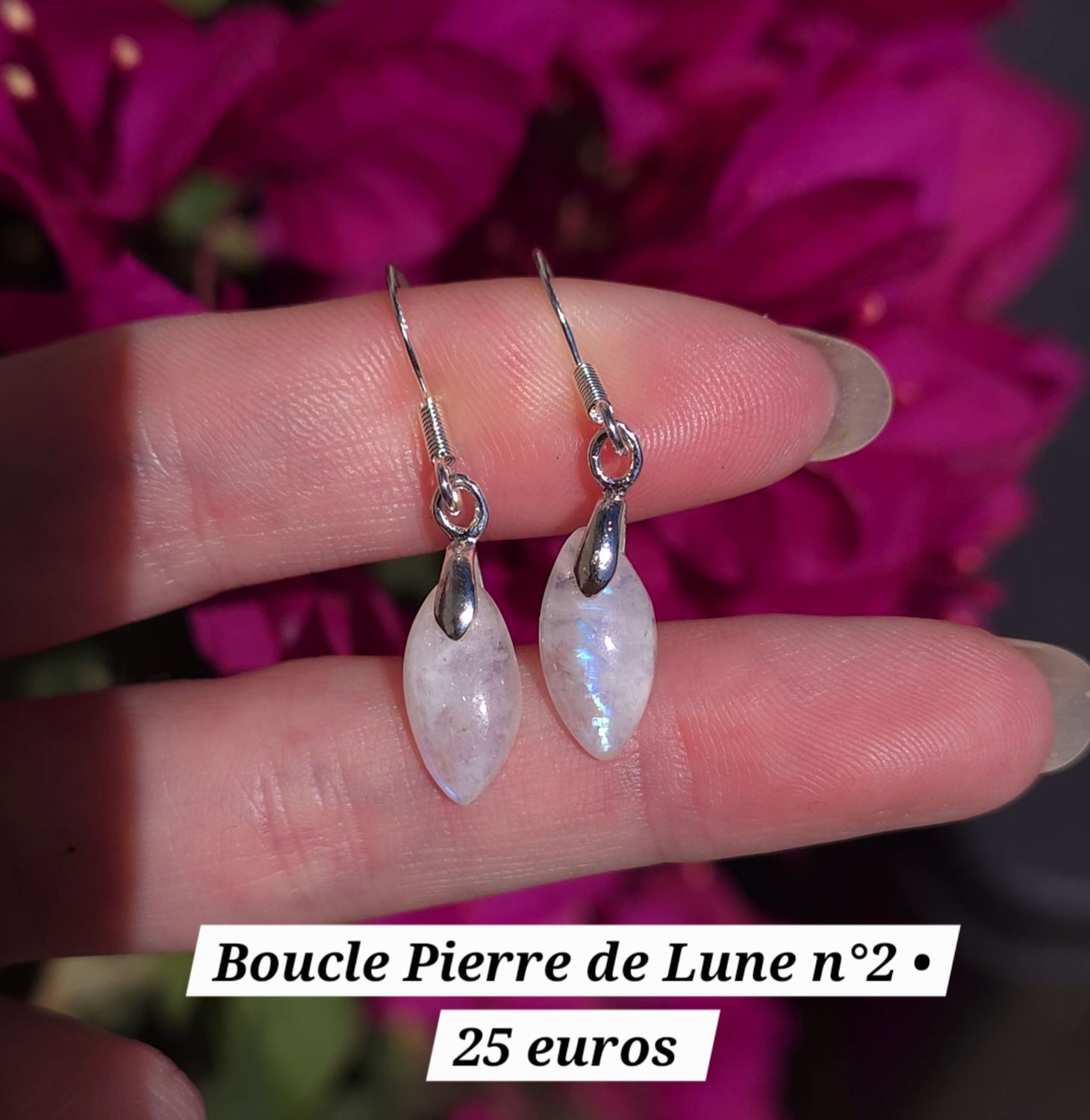 Boucle Pierre de Lune n°2