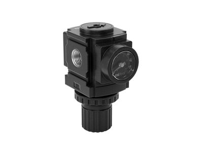 Pneumatic