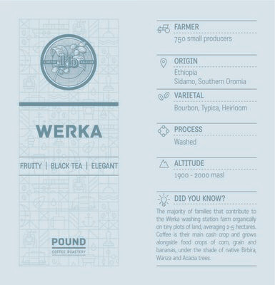 Ethiopia: Werka - Filter Roast (Limited Release)