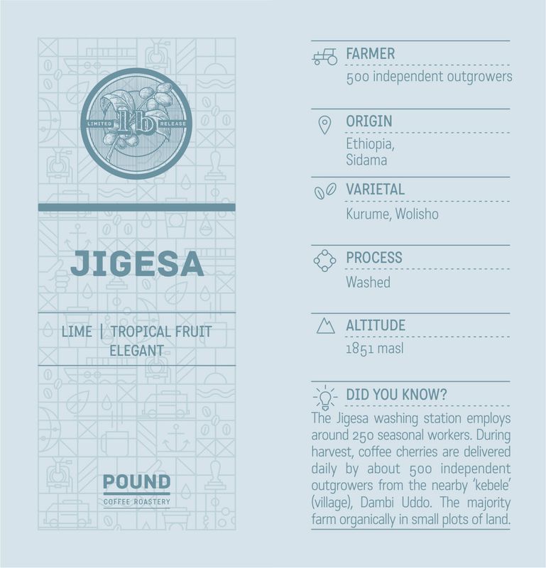Ethiopia: Jigesa - Filter (Limited Release)