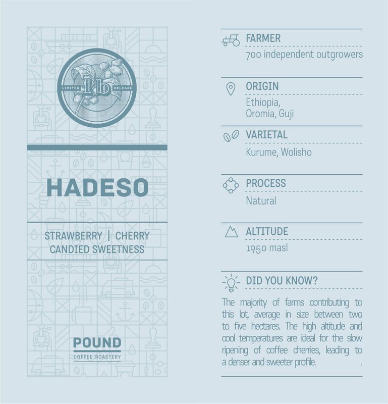 Ethiopia: Hadeso - Filter (Limited Release)