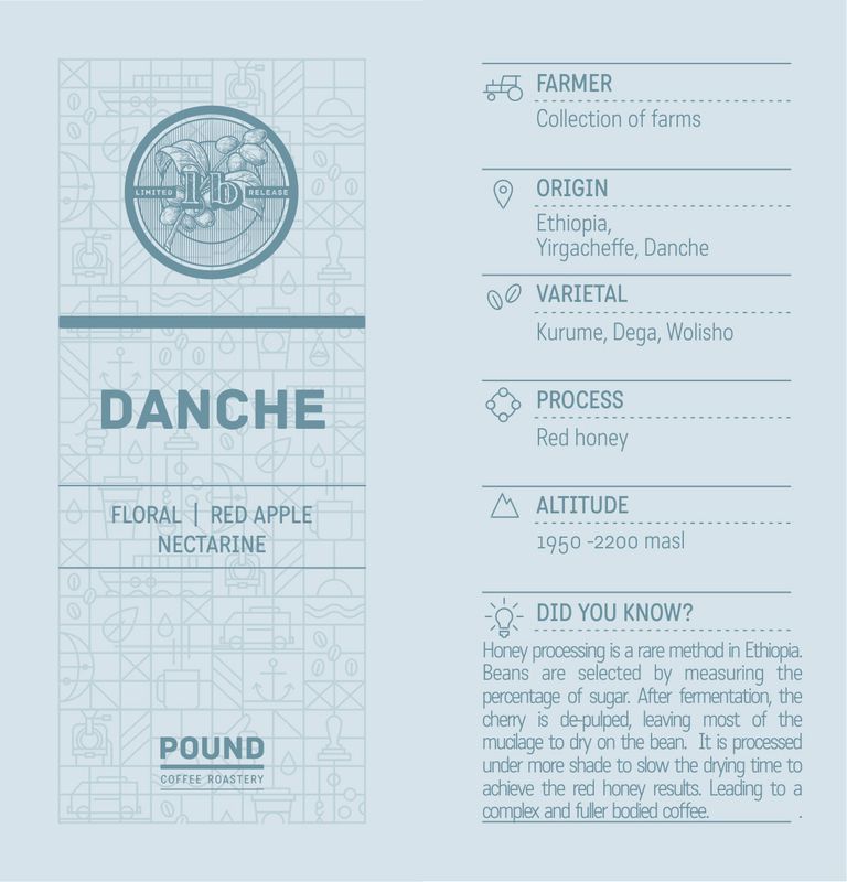 Ethiopia: Danche- Filter (Limited Release)